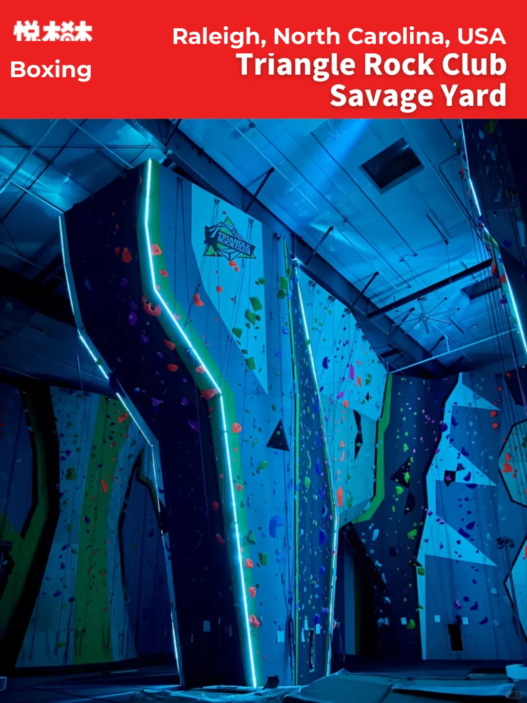 Rock Climbing Adventure: Triangle Rock Club Savage Yard