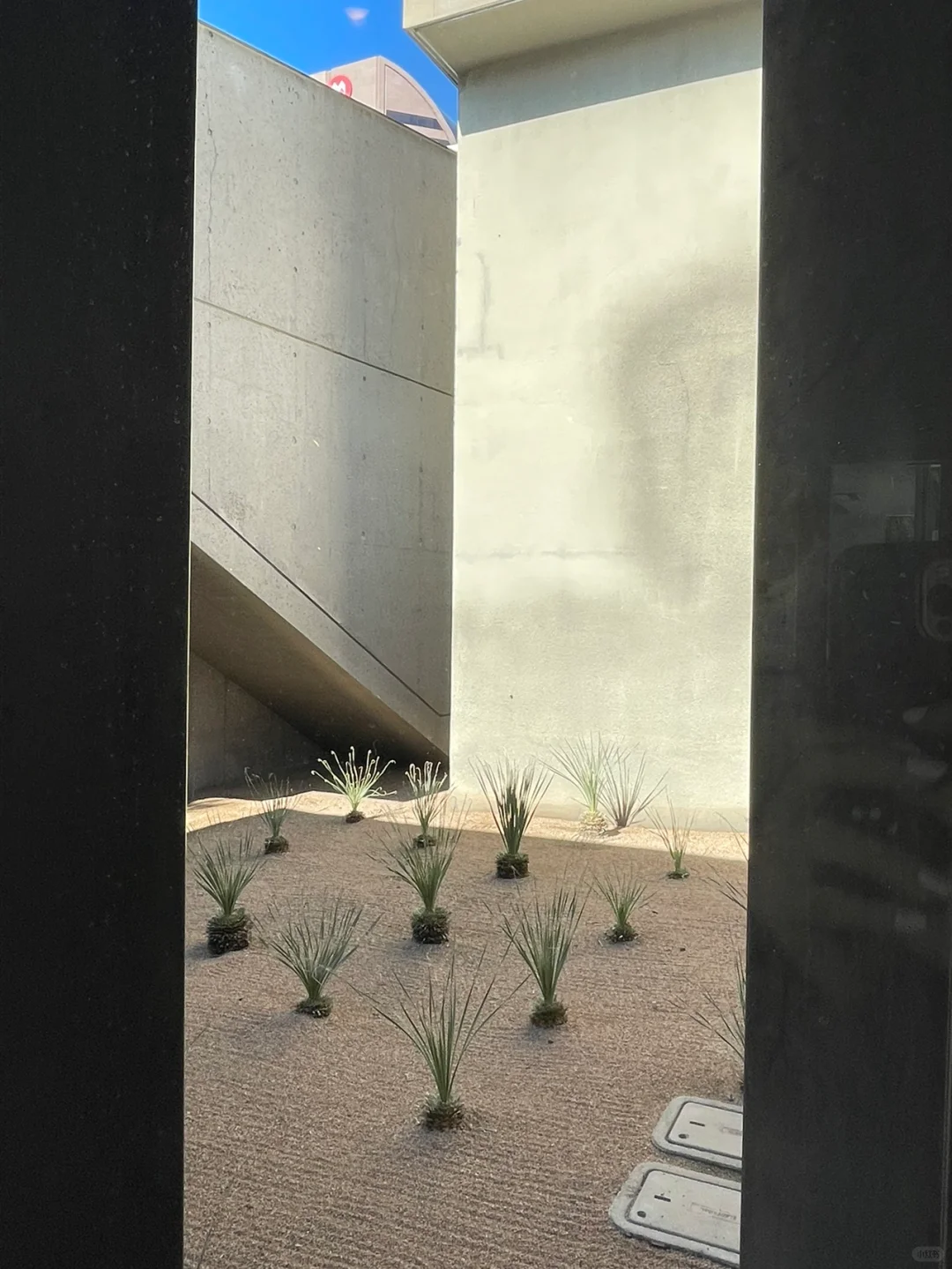 2021 Winter Travel Journal · Day 2