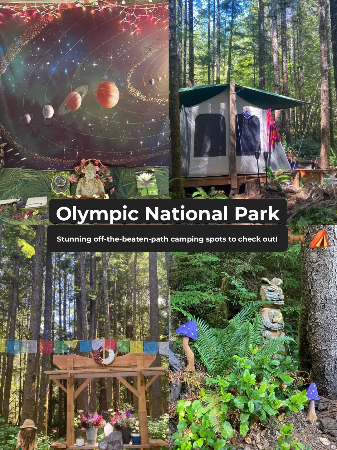 Seattle Area｜You Must Camp Here! 🏕️