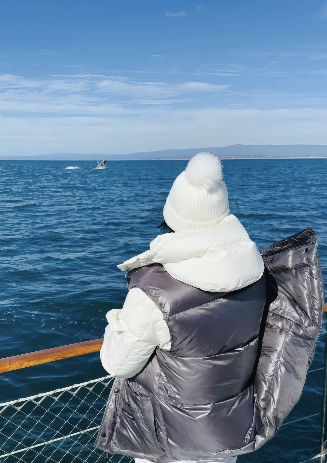Whale Watching in Monterey: Witnessing Multiple Breaches!