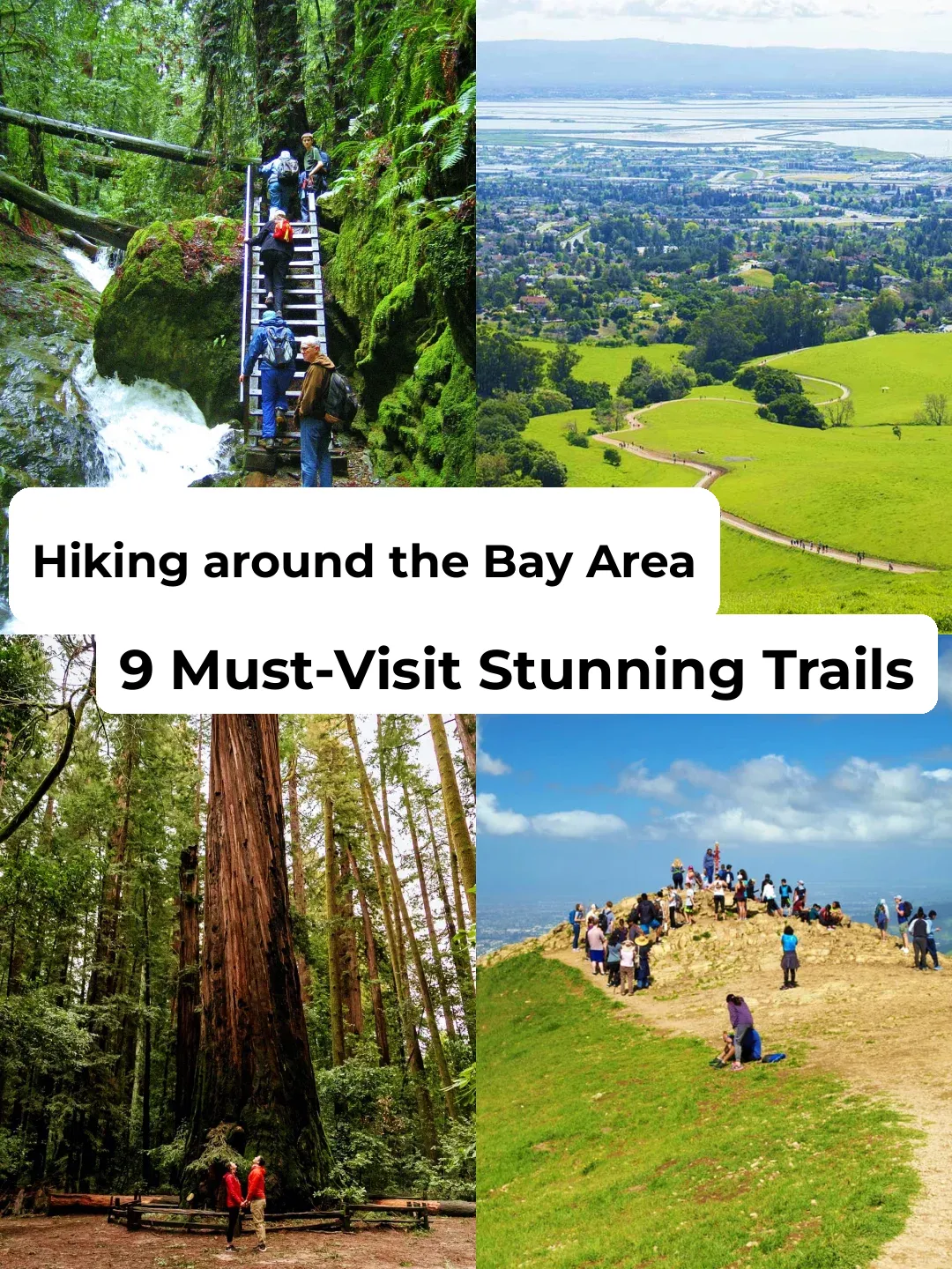 Bay Area Locals Swear By These 9 Most Scenic Hiking Trails! ‼️