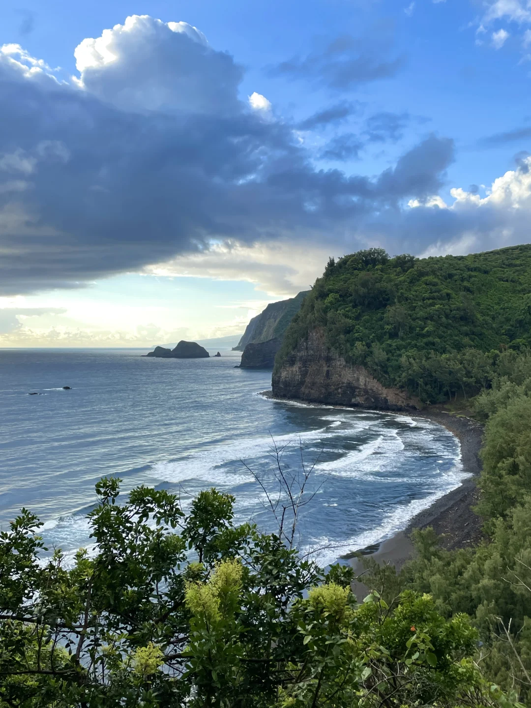 Day 39 in Waikiki Wanderlust | Willing to Hike at 5 AM