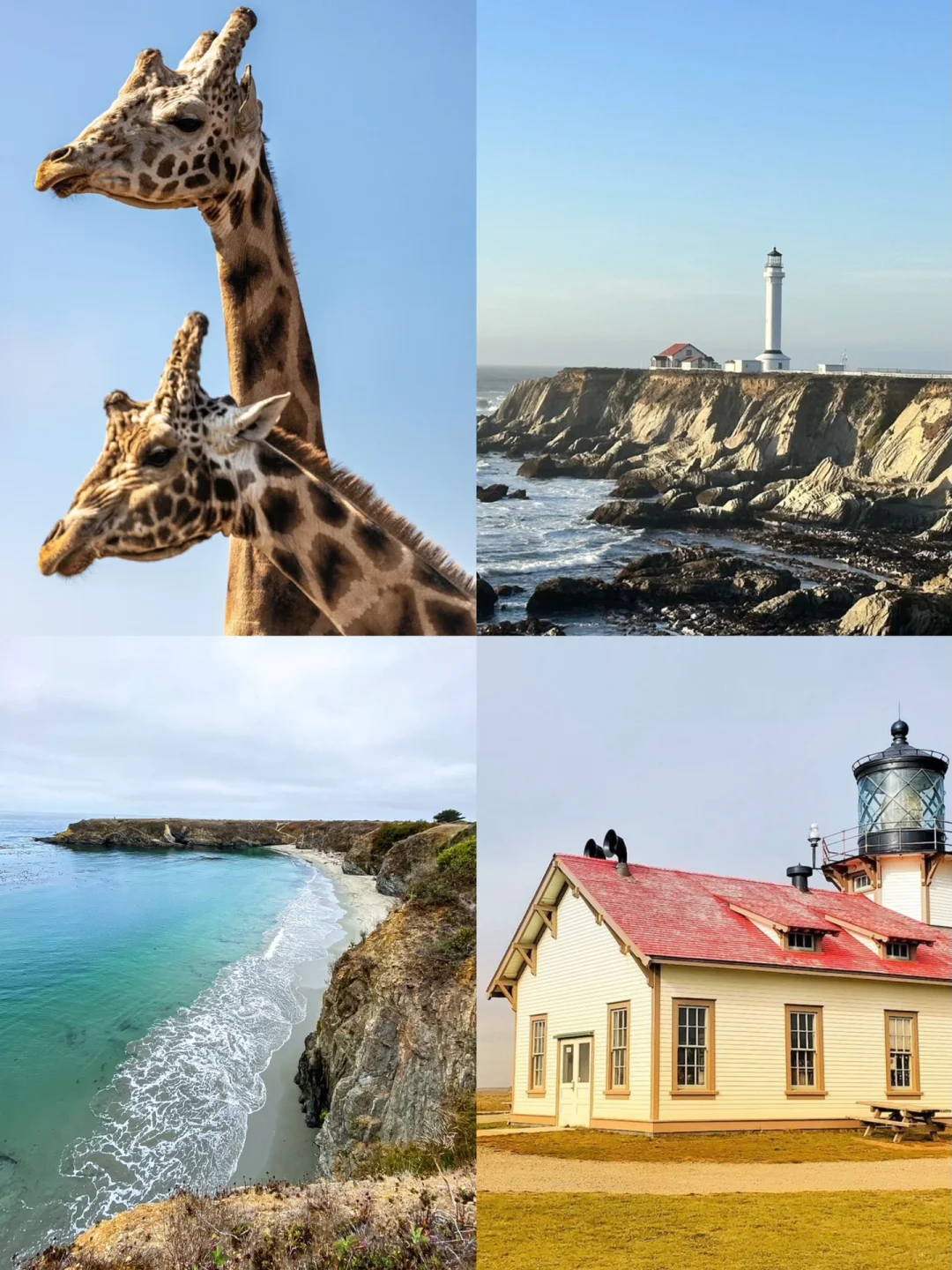 Bay Area Weekend ♥️ 16 Must-Do's in NorCal's Charming Town Mendocino