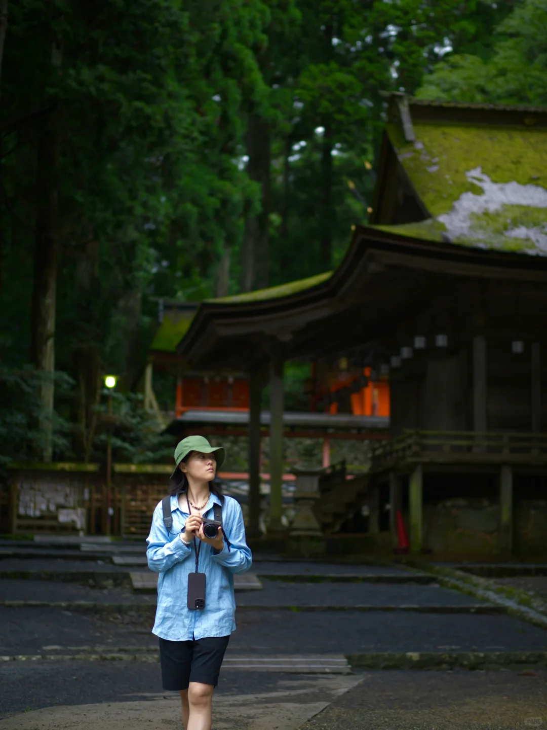 World Heritage Site ~ Koyasan Day Trip Guide