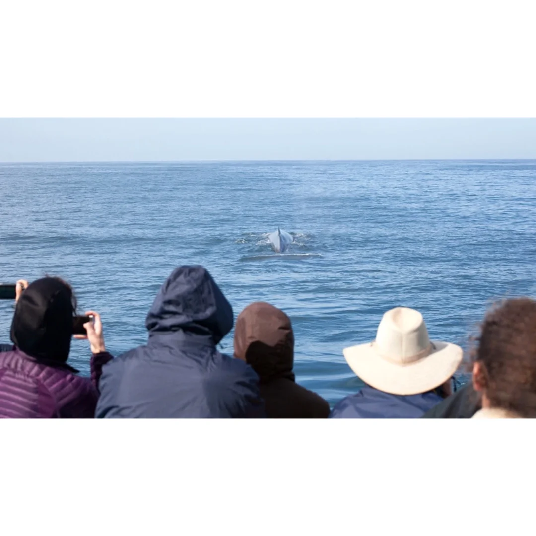 Classic 3-Day Itinerary for Los Angeles