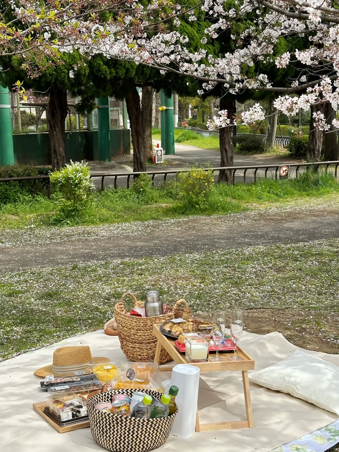 Tokyo Adventure 🗼｜Top 10 Parks You Must Visit in Tokyo