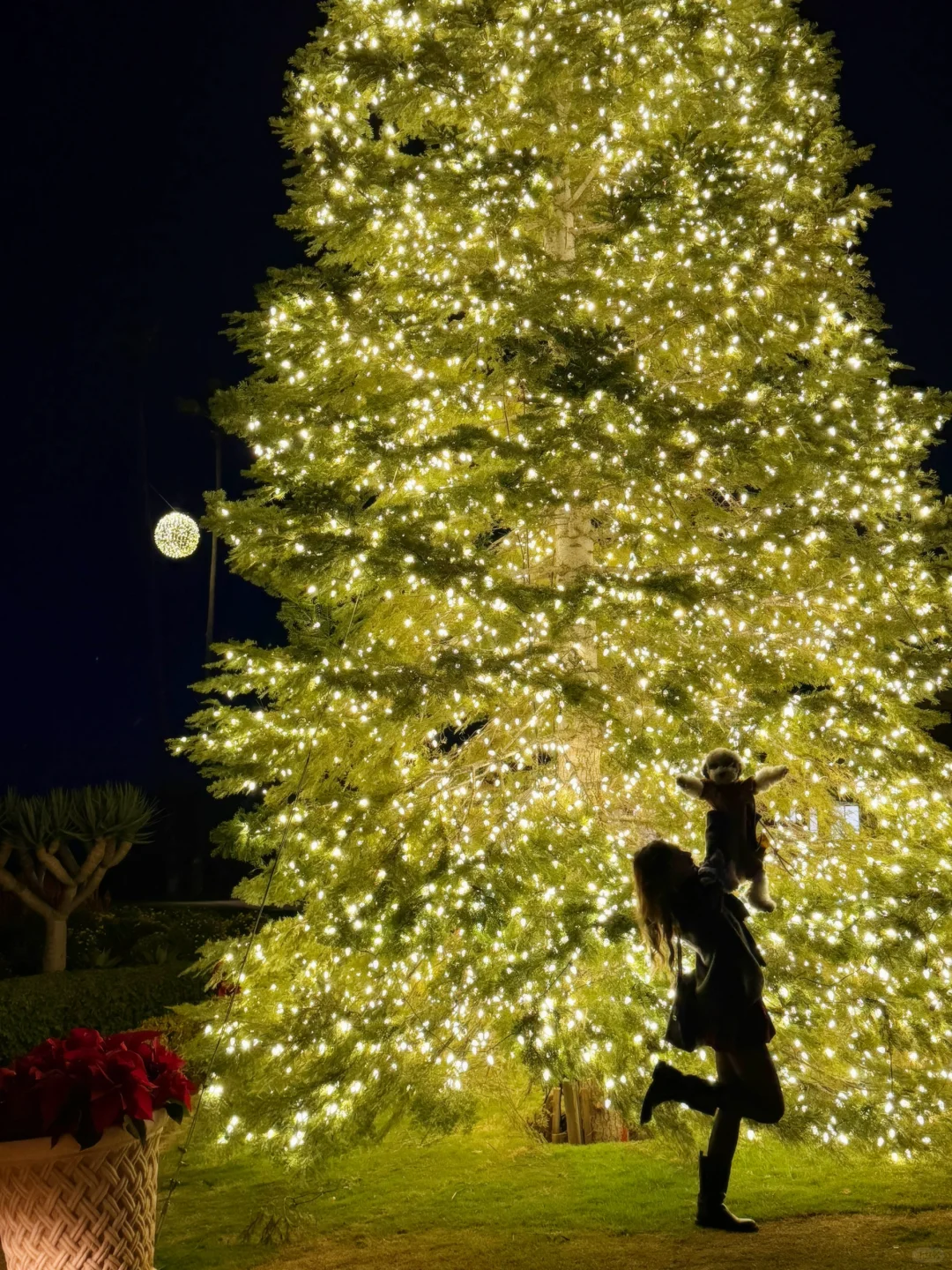 "The Christmas Tree by the LA Beach 🎄"