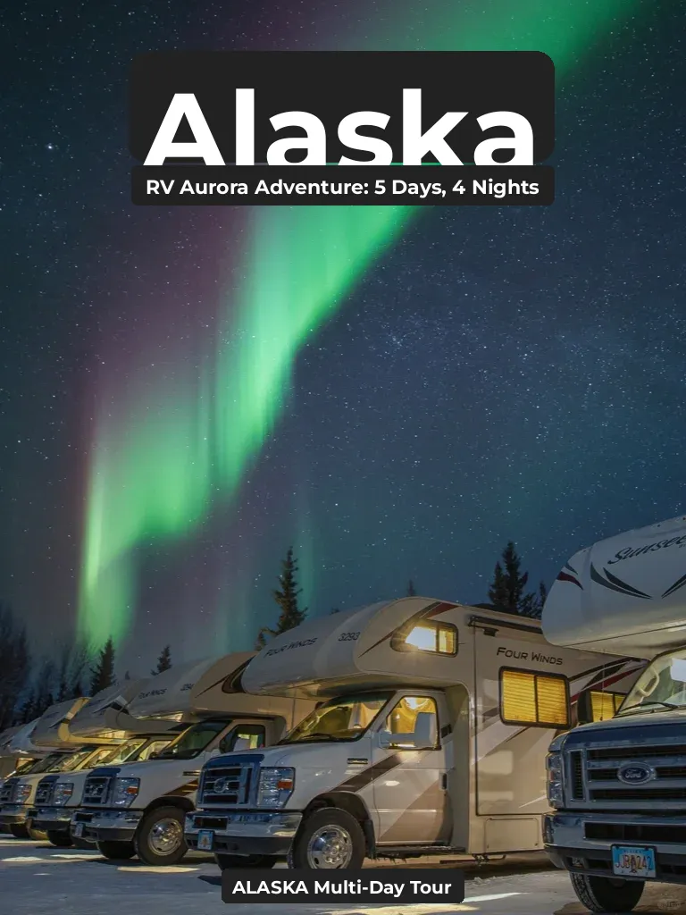 Must See the Northern Lights Once | 5-Day RV Dynamic Aurora Chase in Alaska