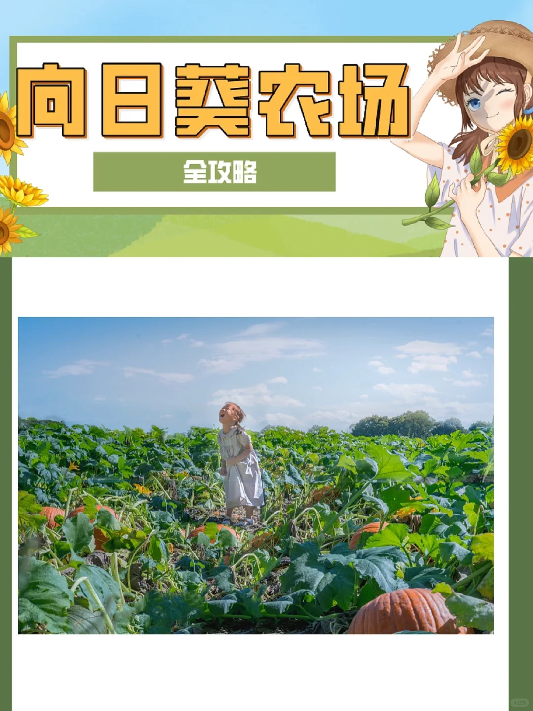 Around Milwaukee | The Ultimate Guide to the Top 10 Sunflower Farms