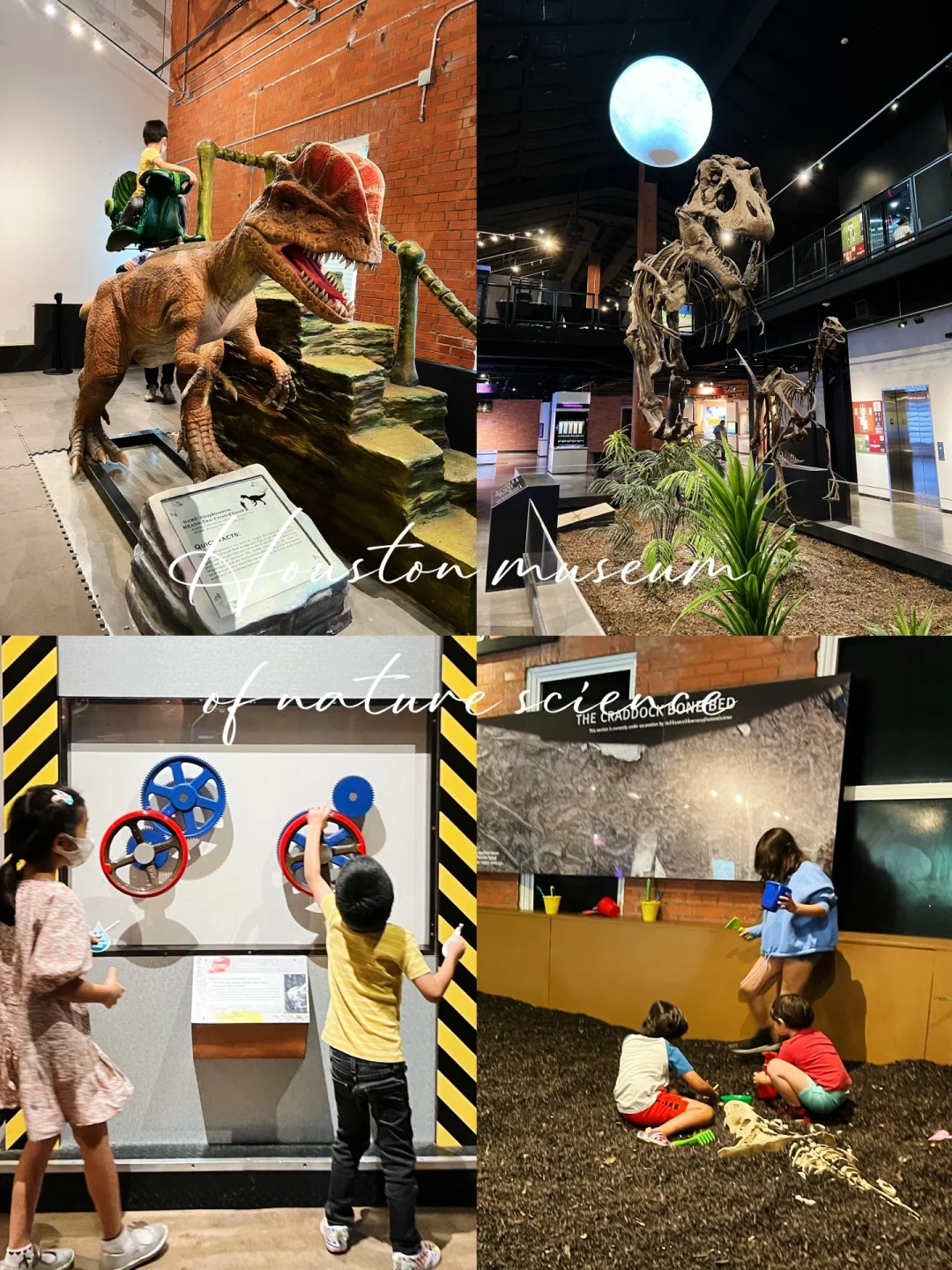 Houston | The Perfect Summer Spot for Kids to Learn and Play