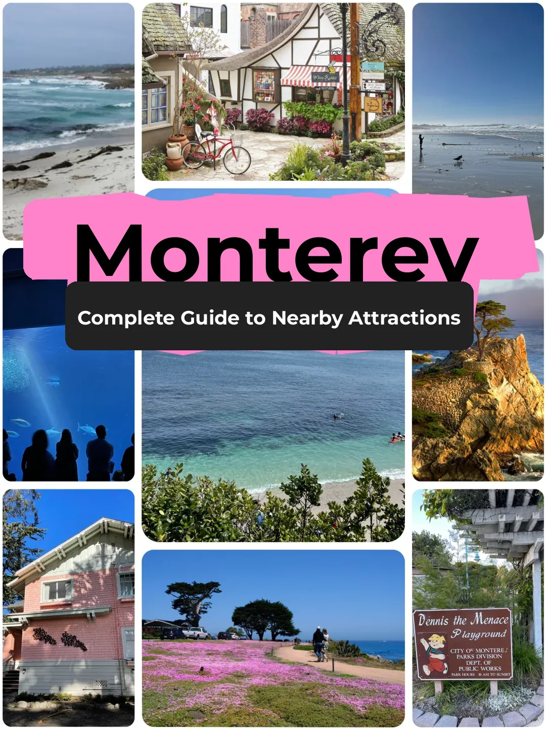 Ultimate Guide to Monterey and Beyond: Must-Visit Spots