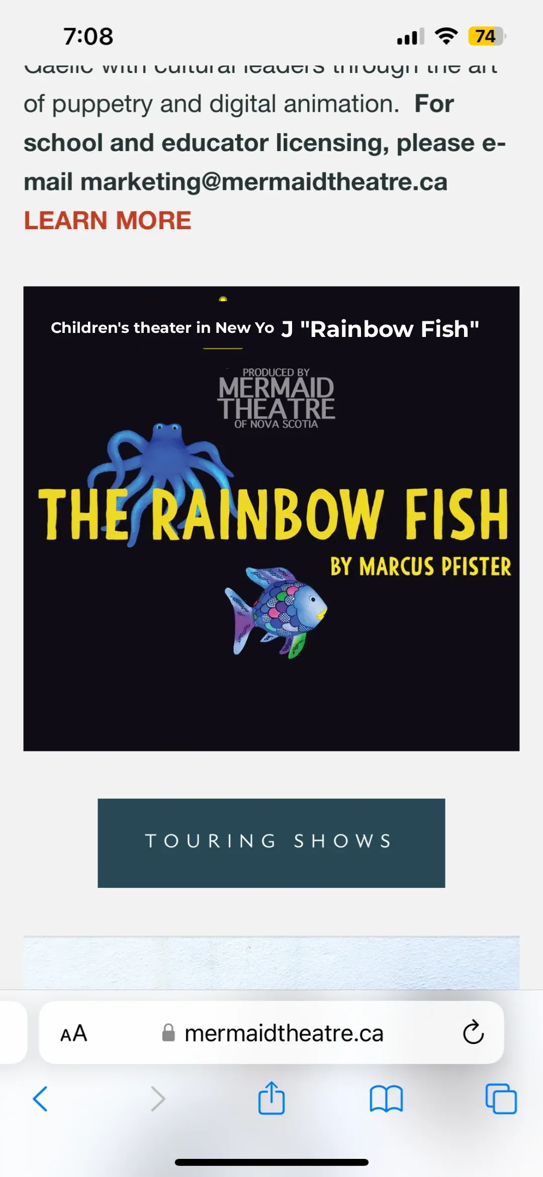 Catching the Children's Play "Rainbow Fish" in Queens, NYC