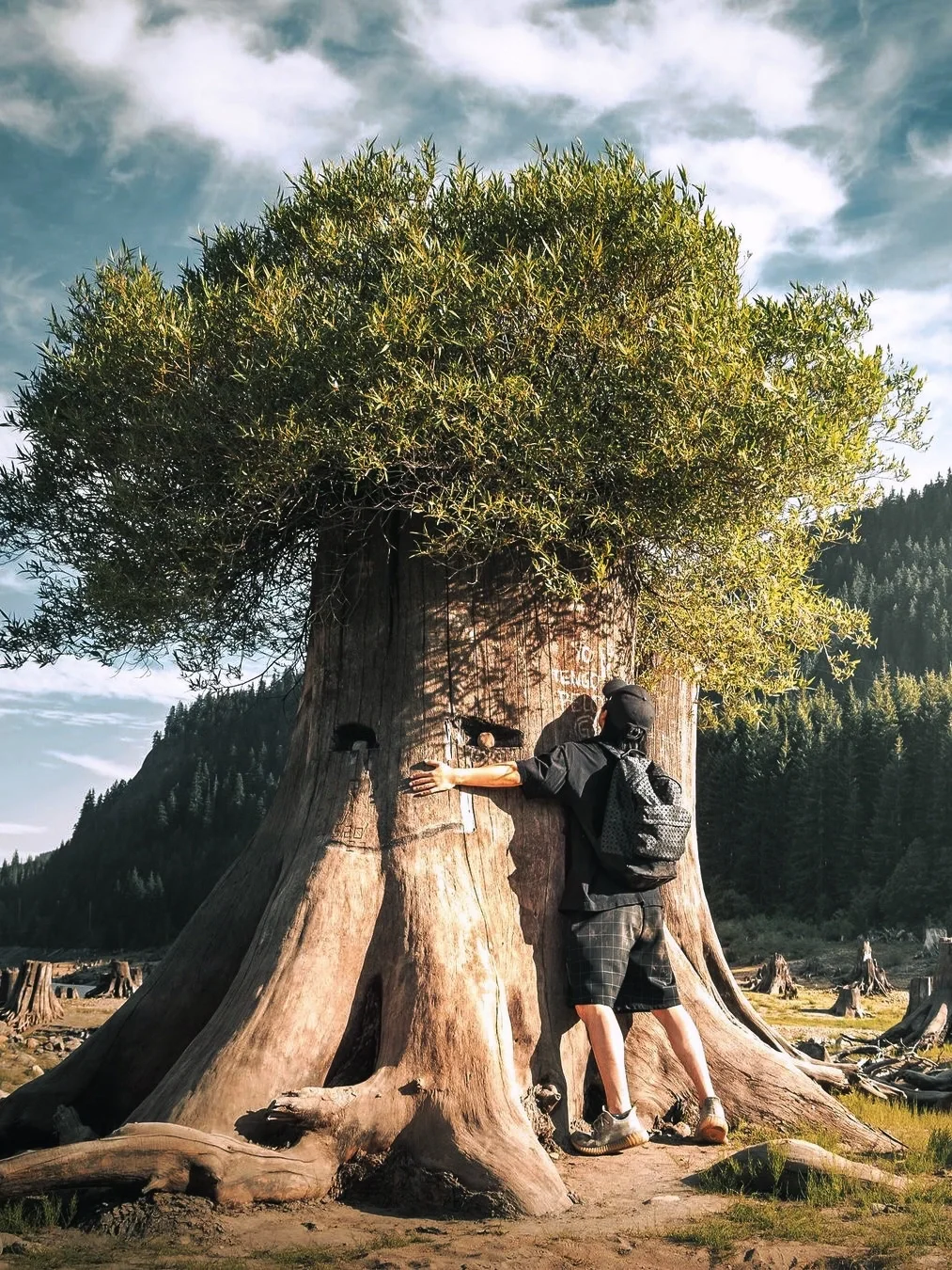 Pro Tip 🥰: Explore These Hidden Gems Before Leaving Seattle