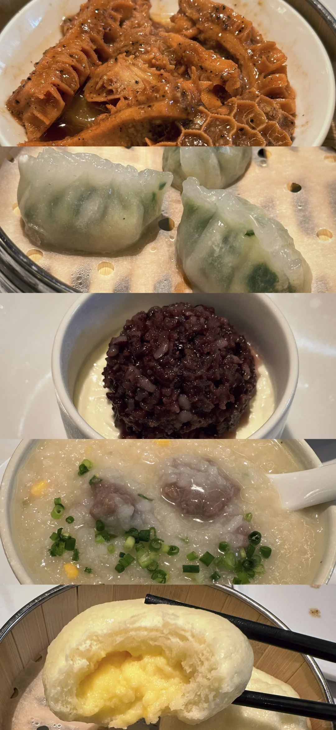 Newly Opened Hong Kong-Style Yum Cha Spot in Ueno