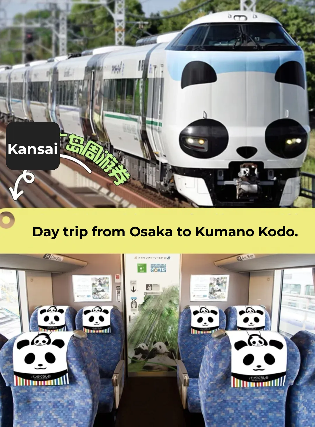 Day Trip Guide to Kumano Kodo (with Detailed Itinerary from Osaka)