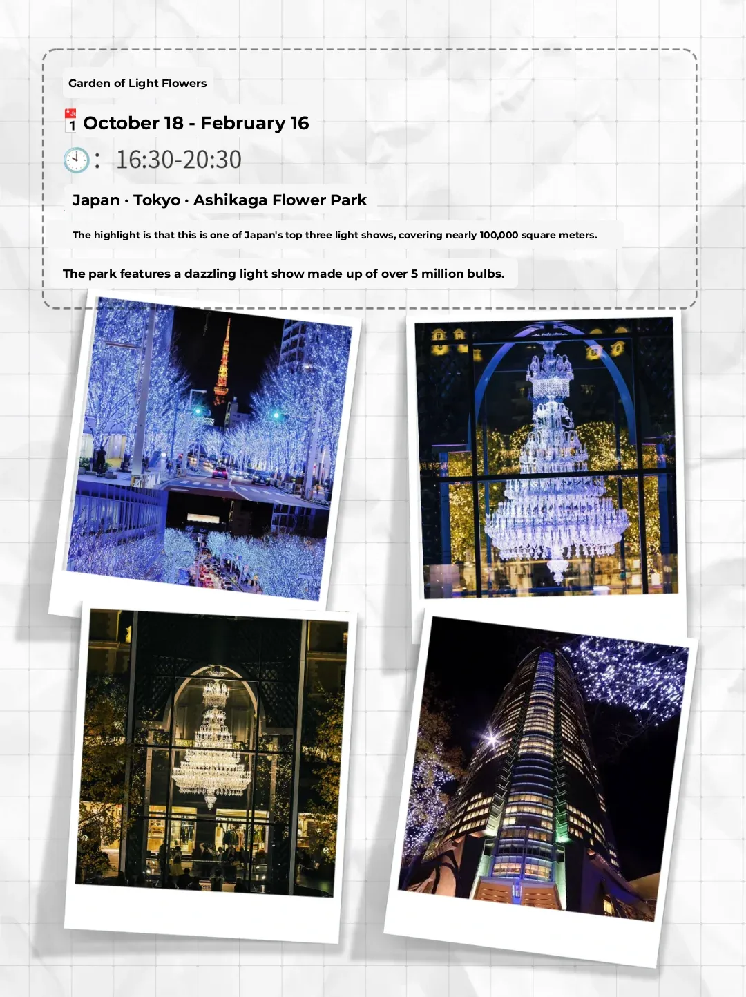 🎄This Christmas, You Must Visit Tokyo | 2024 Ultimate Guide