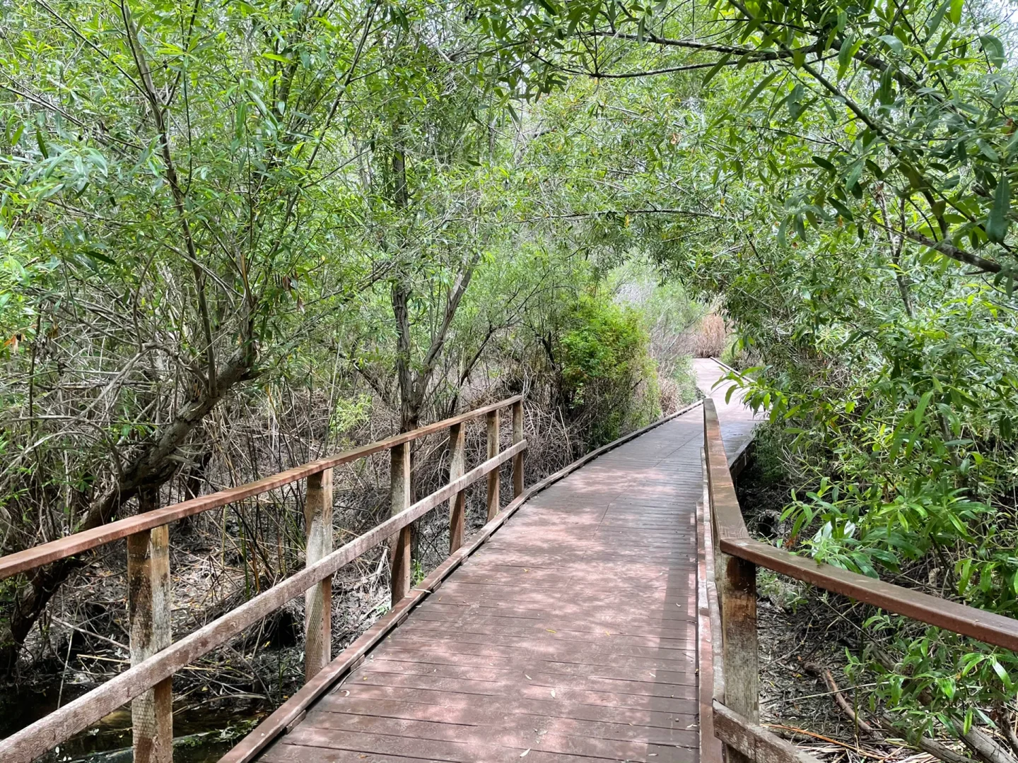 Carlsbad Lake Calavera Loop