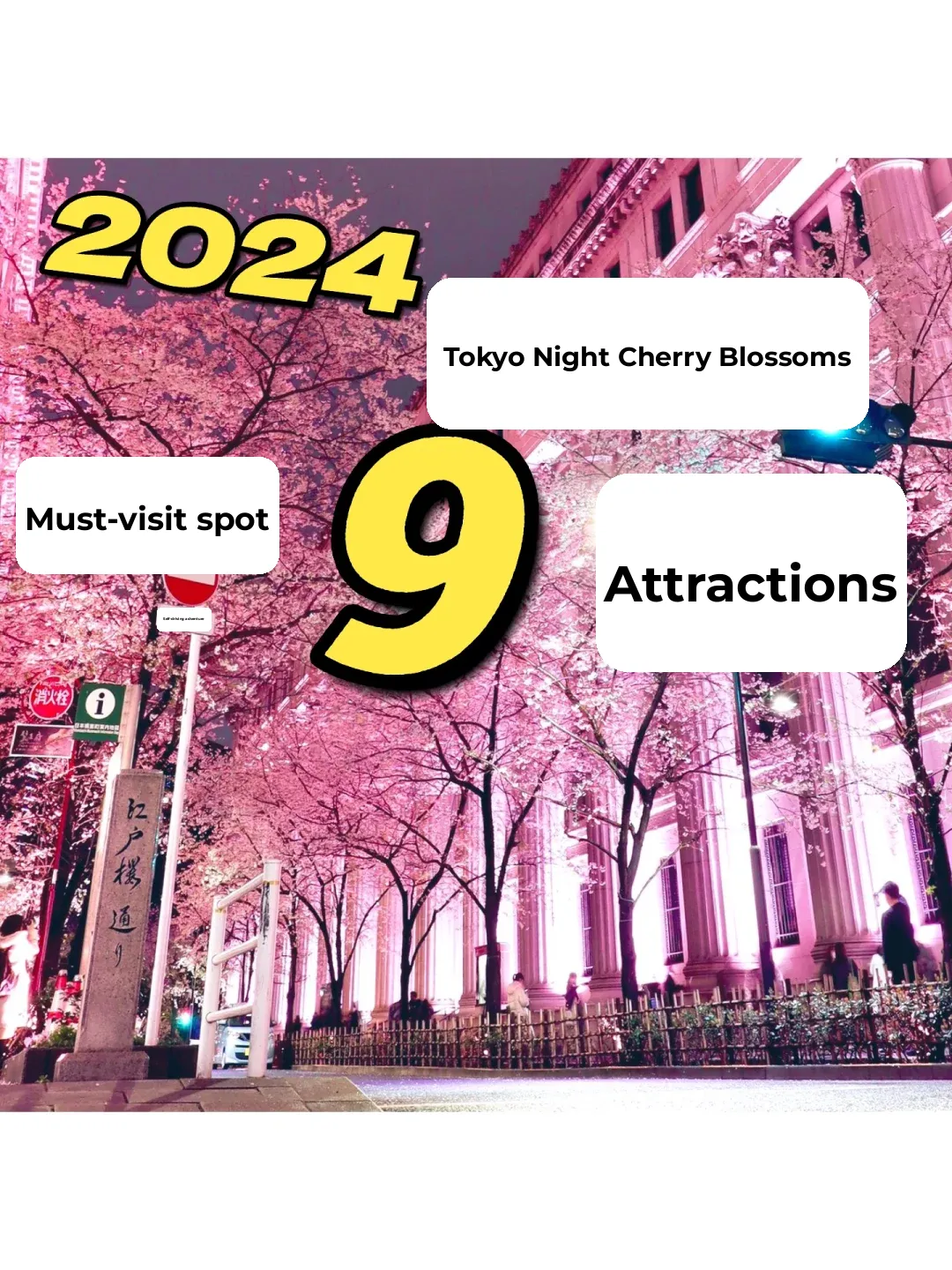 2024 🌸 Tokyo's "Night Sakura" 🌸 Must-Visit 9 Spots