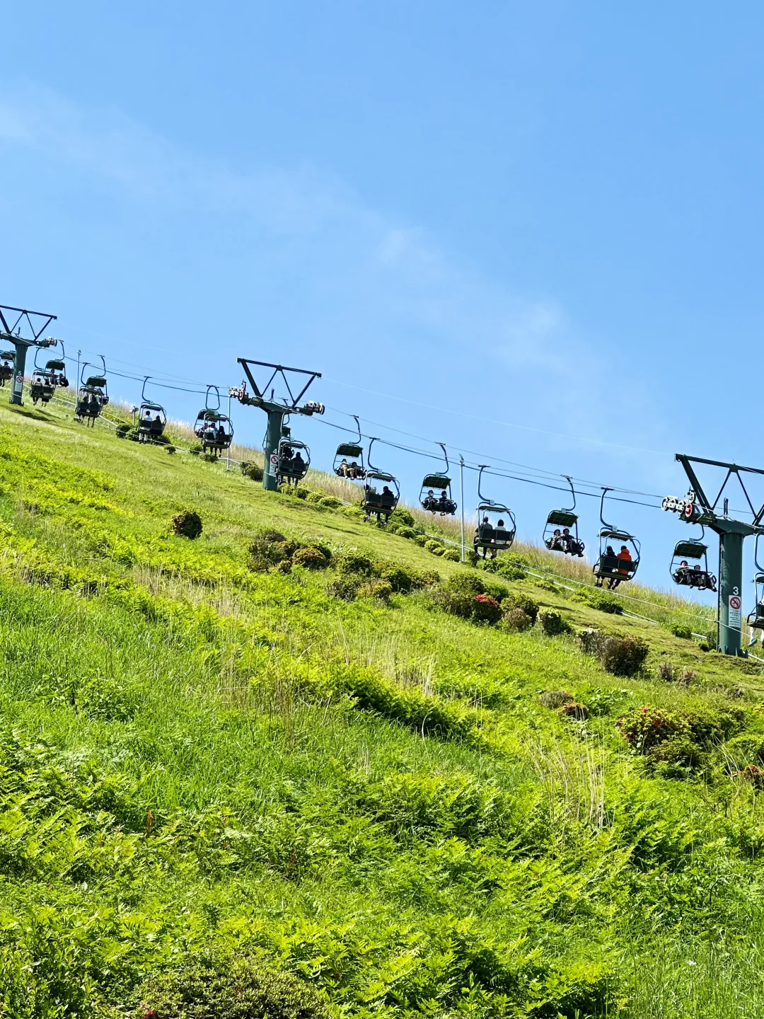 Japan | Mount Omuro ⛰️ Kuroshio Coast 🌊 One-Day Free-and-Easy Itinerary