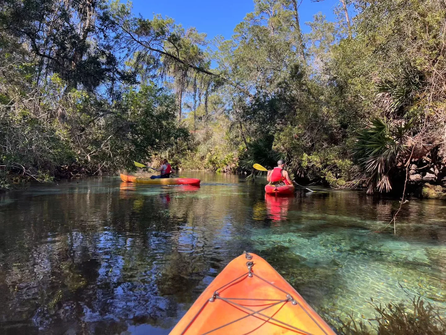 Ultra-Detailed! A Comprehensive Guide to Self-Driving Travel in Tampa!!