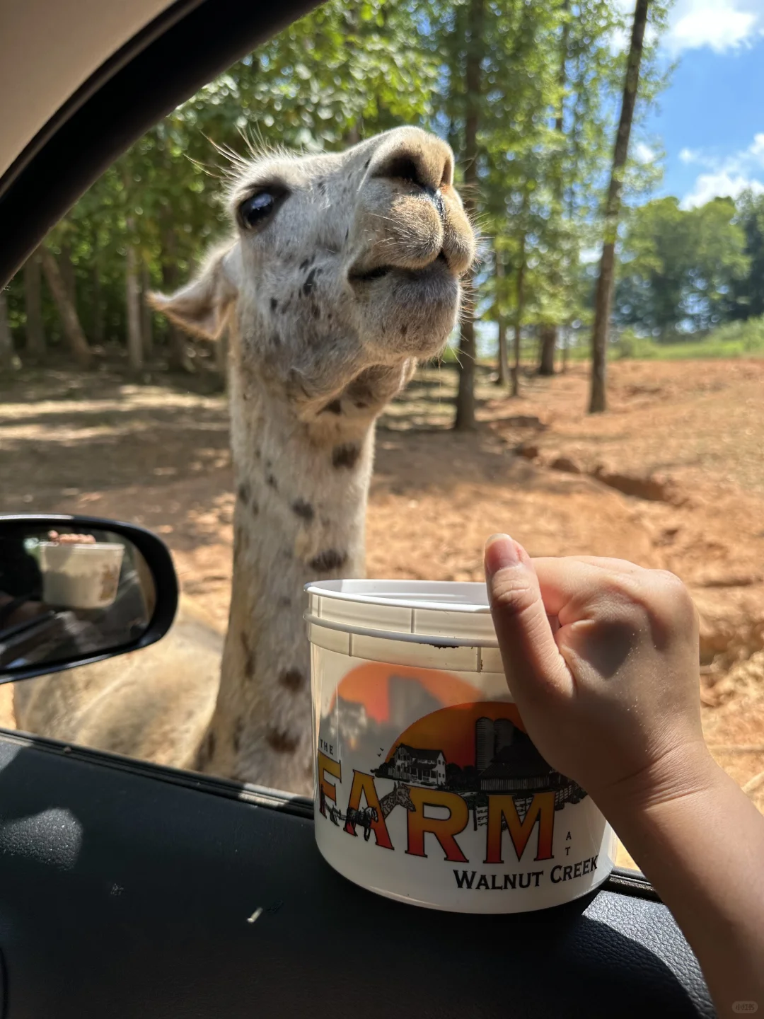 Charlotte, North Carolina