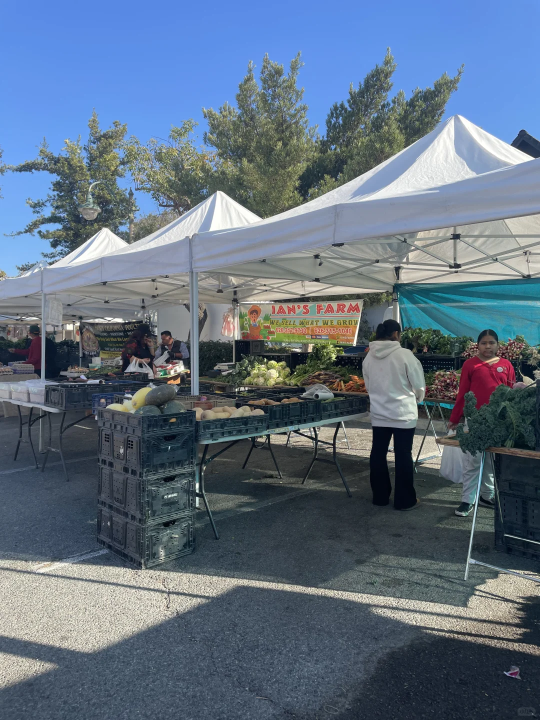 Los Angeles - Friday Farmer's Market