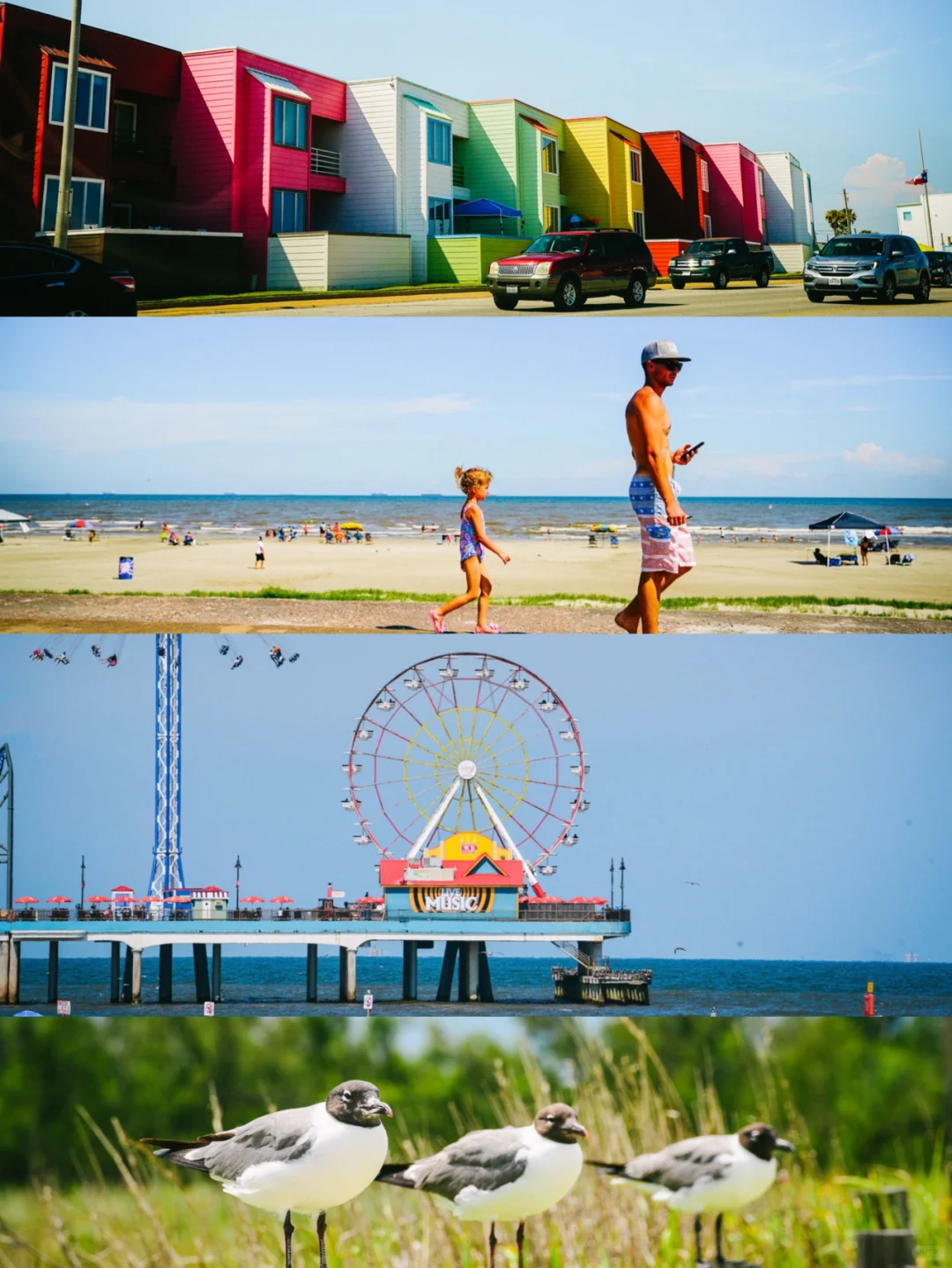 Texas | Houston 1-Hour Getaway: Family-Friendly Guide to Galveston Island 🐟