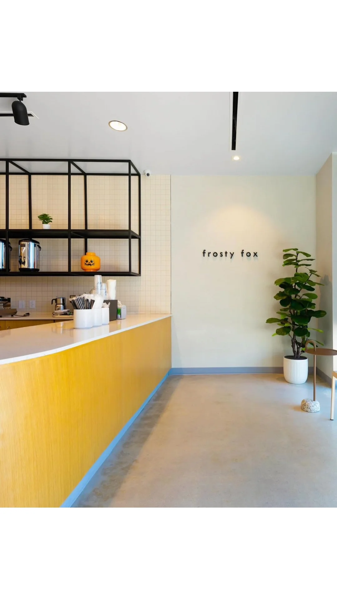 Frosty Fox Austin, Texas Location Now Officially Open 🦊