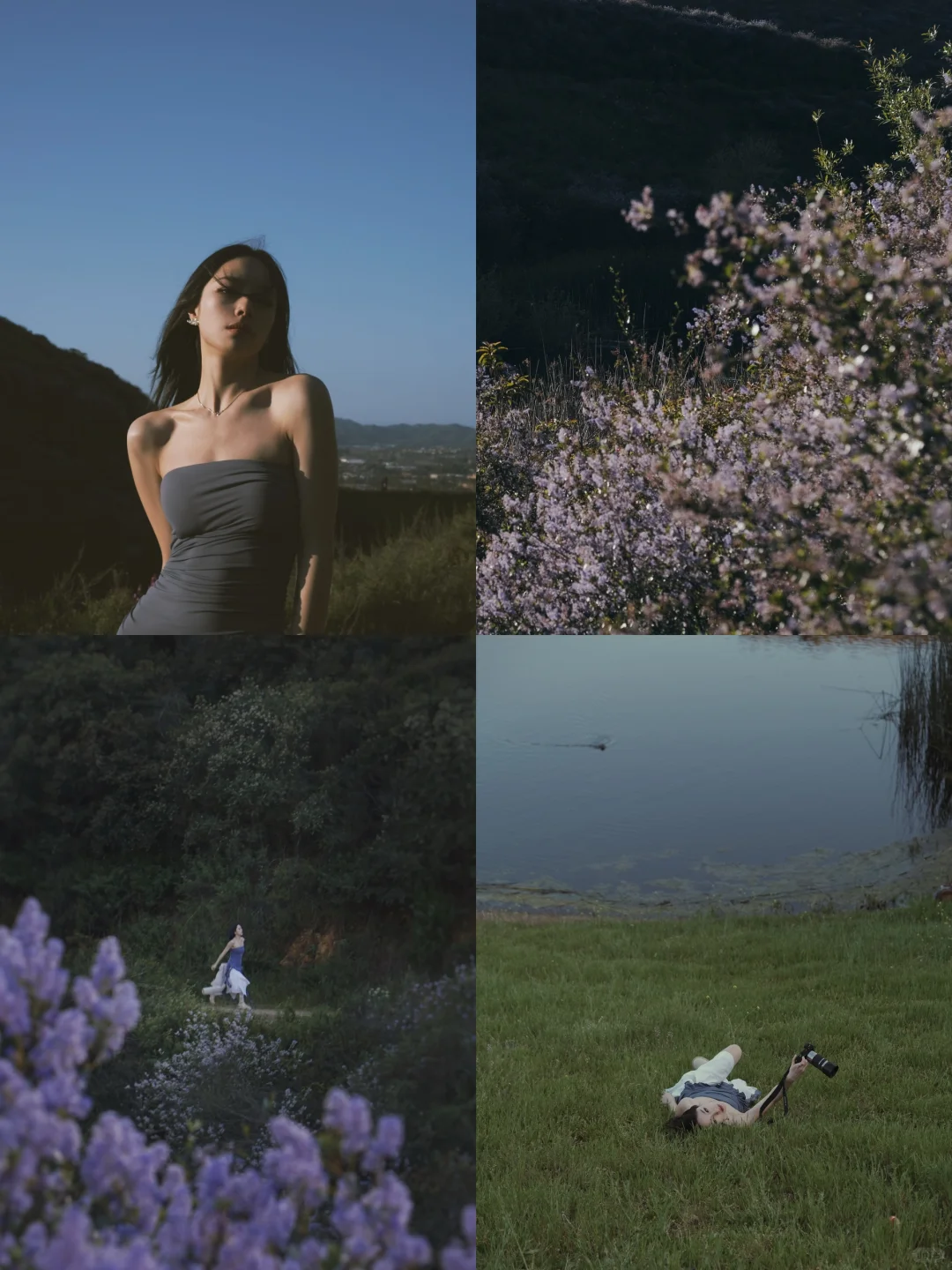 The Purple of San Diego