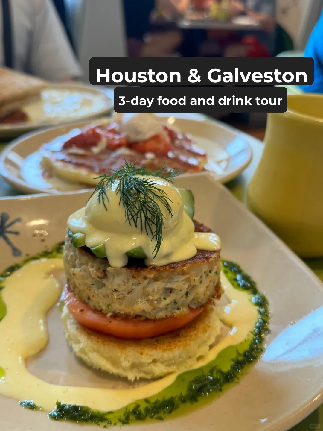 3-Day Trip to Houston & Galveston, Texas