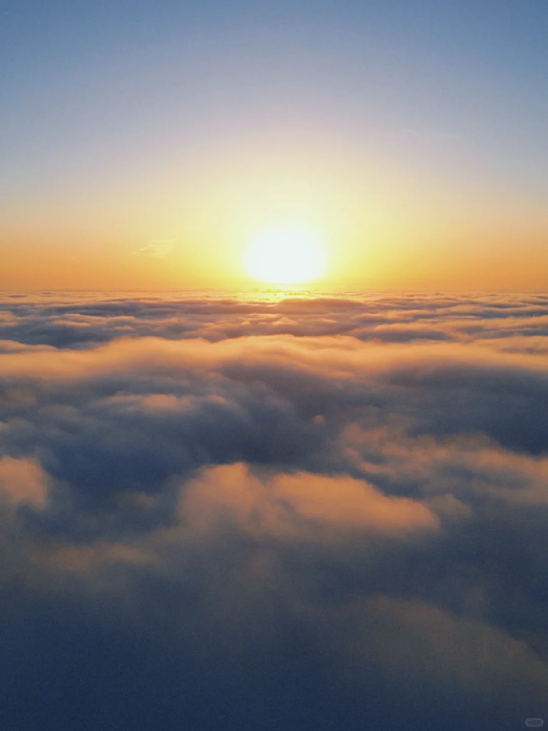 Los Angeles: Picnic in the Sea of Clouds Without Hiking 🌻