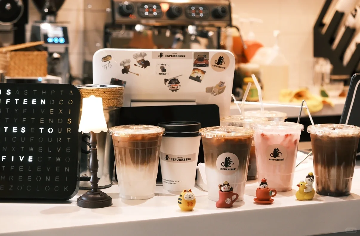 ☕️ "Italian-Style" Cat Café 🐱 is Here! 📢