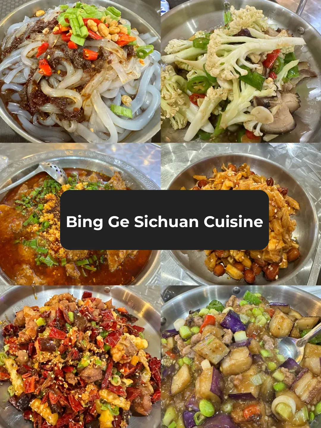 The Ultimate Chicago Sichuan Cuisine Experience! Bing Ge Sichuan Restaurant!