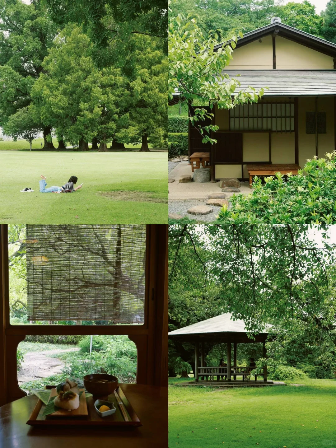 Sushi Bliss in Tokyo's Shinjuku 🍃 Royal Garden Oasis