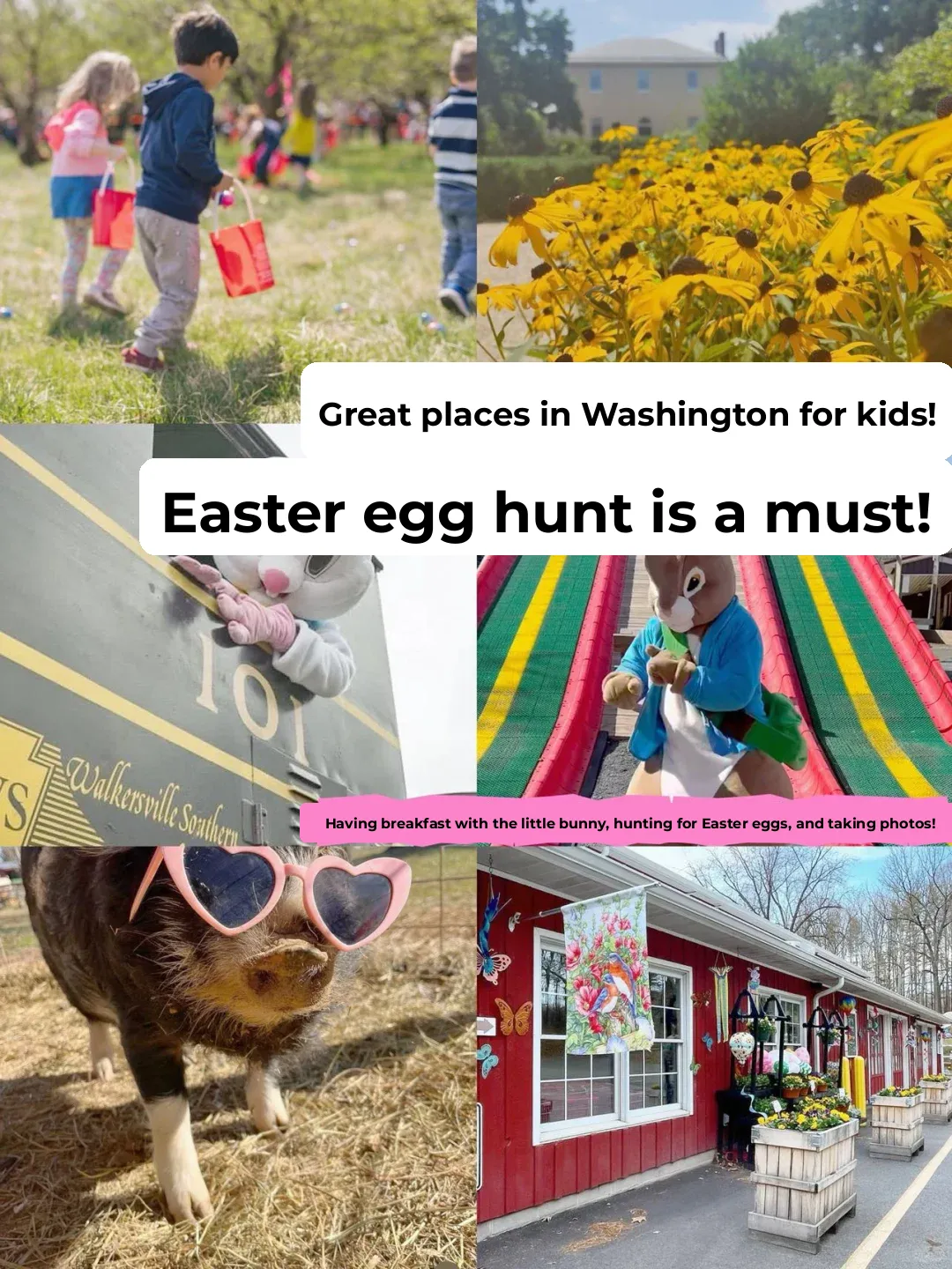 Best Spots for Kid-Friendly Fun in Washington | Don't Miss the Easter Egg Hunt 🥚