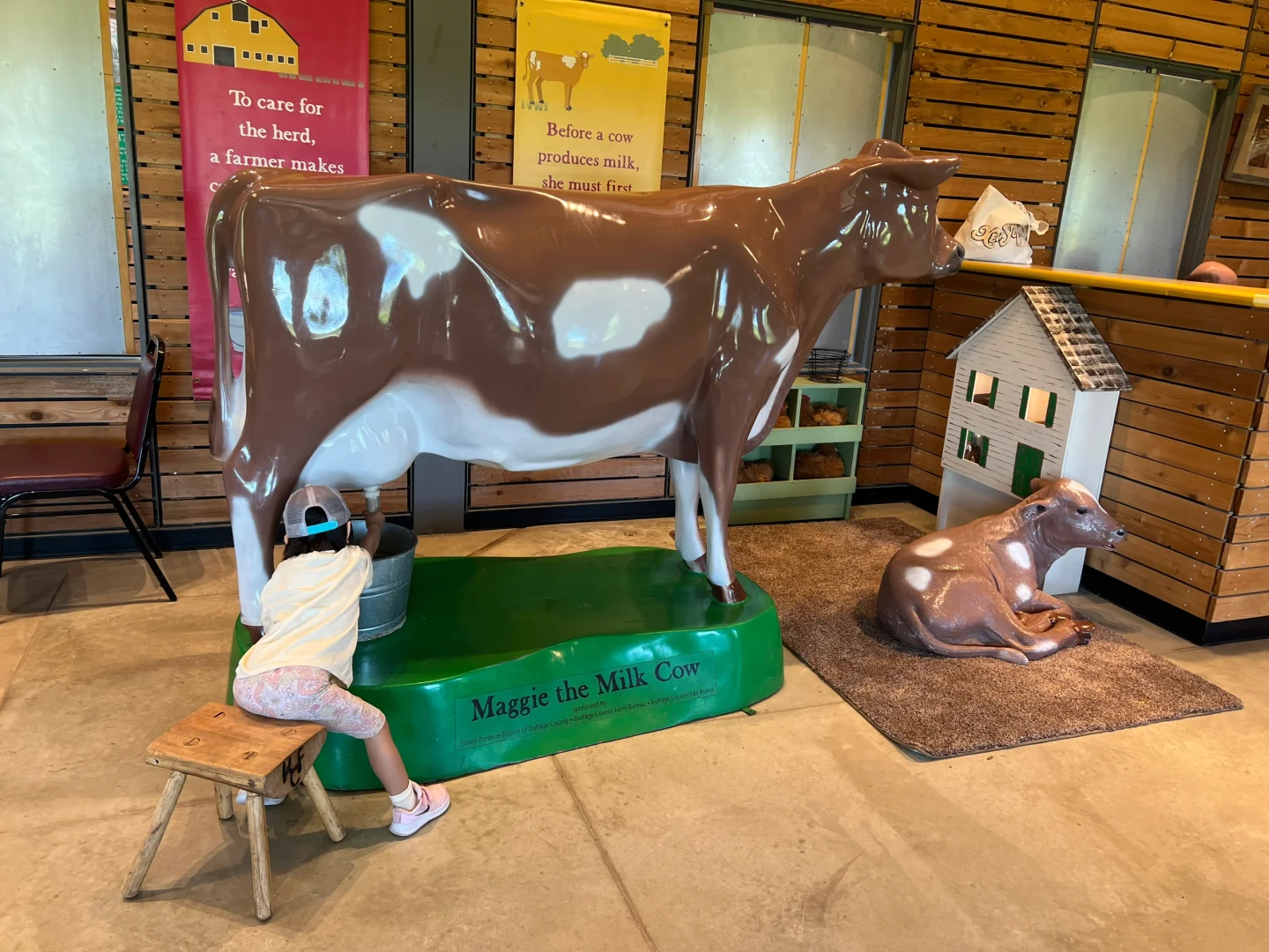 Great Spots for Family Fun in Chicago's Western Suburbs (Part 4)