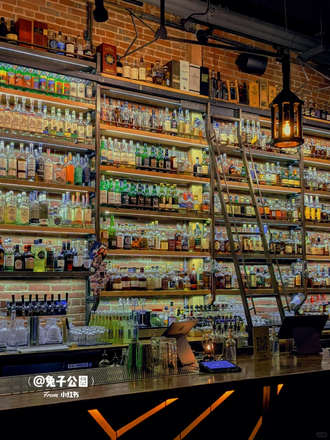 Who Says the Bay Area Has No Nightlife⁉️ The Best Bar in South Bay 🍸 Cheers