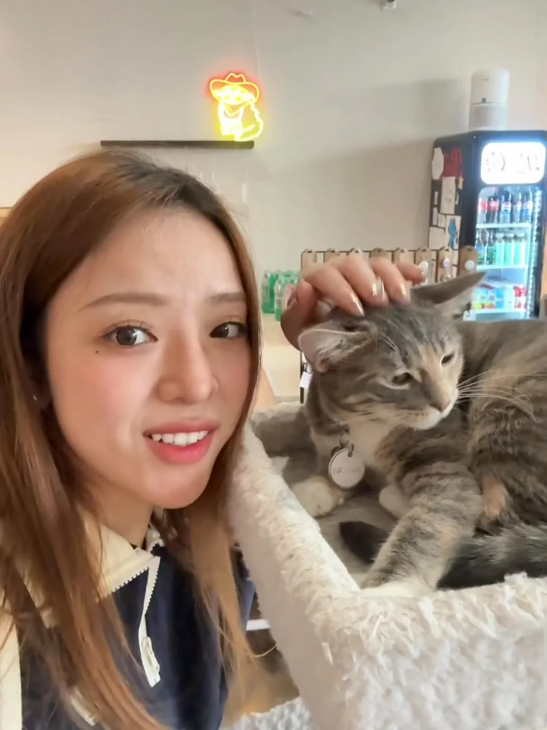 Petting Cats in Houston! Katy Now Has Its Own Cat Café