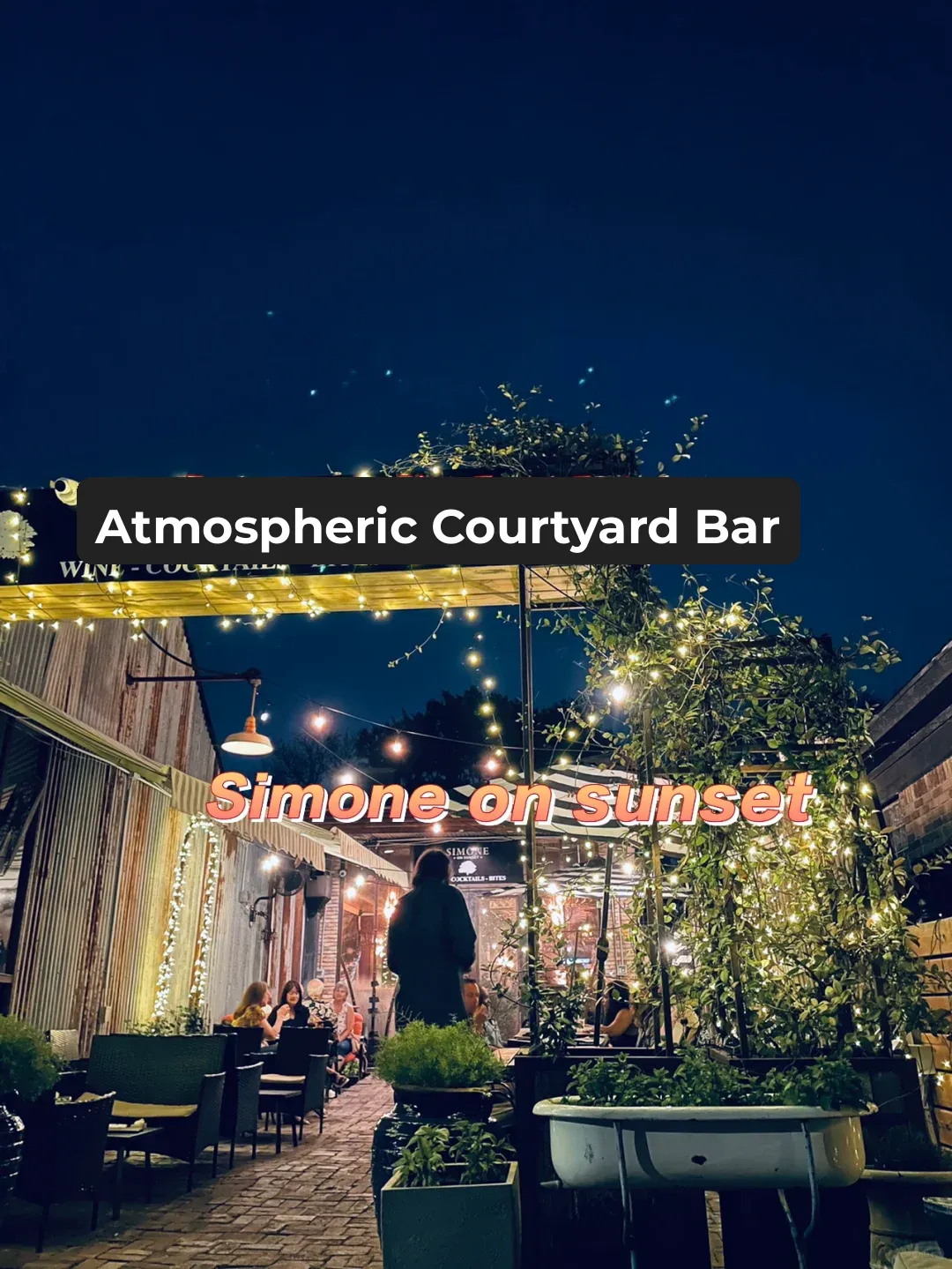 Houston Bar Hopping｜A Cozy Little Bar with Perfect Vibes