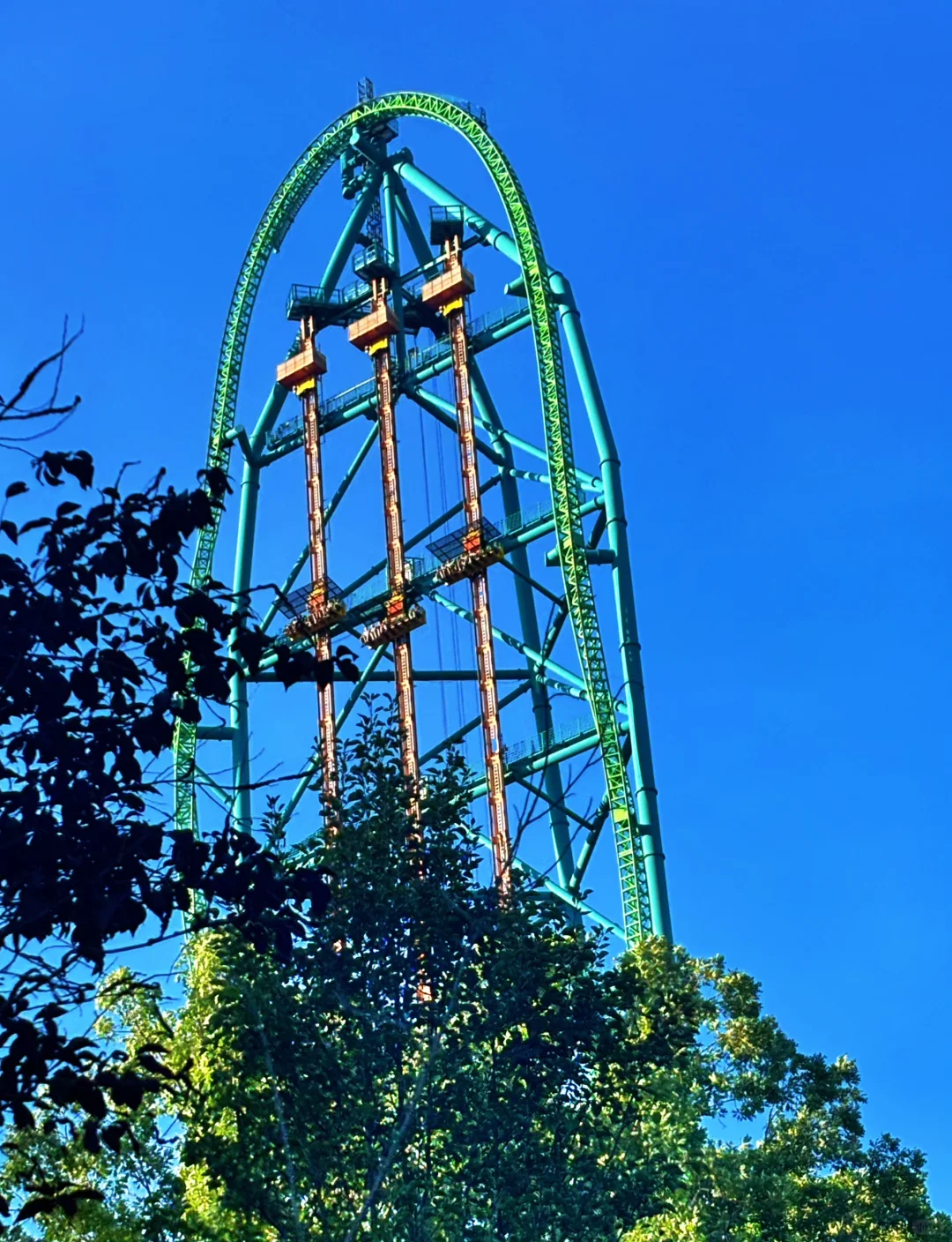 NJ Six Flags Guide and Review (For the Brave)