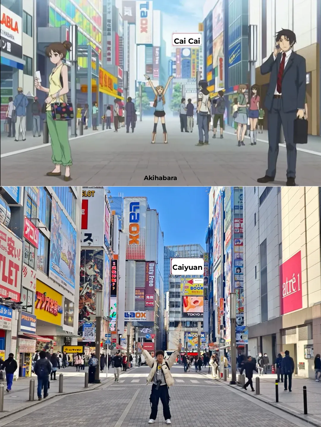Akihabara | 2024 Ultimate Guide