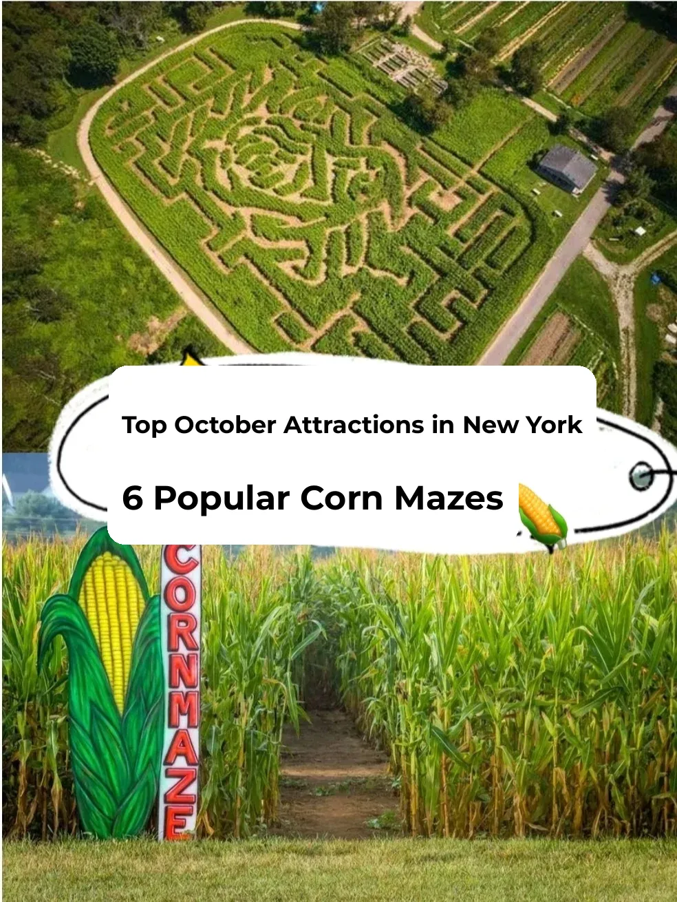Top 6 Must-Try Corn Mazes in NYC This Month 🌽
