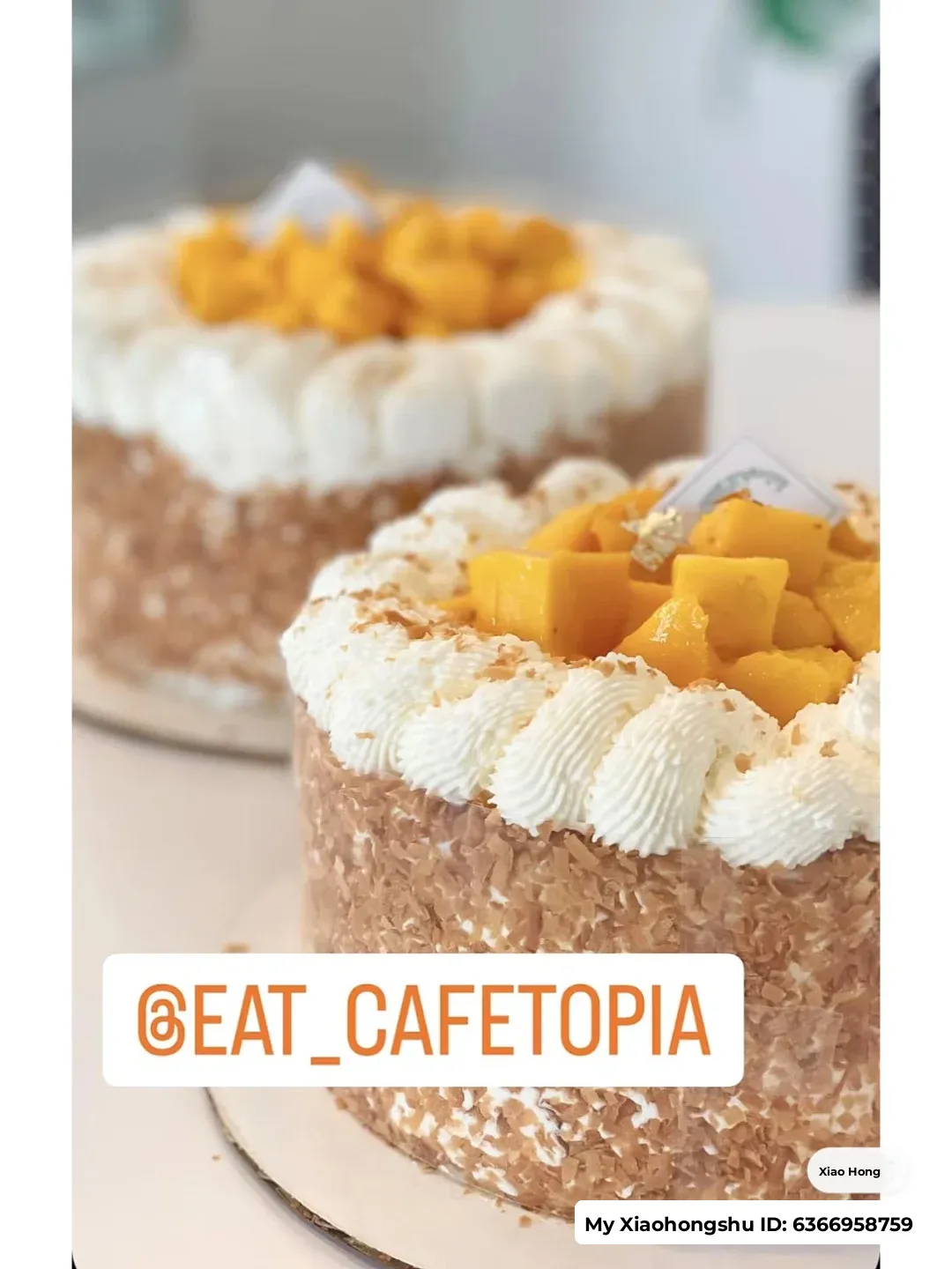 Houston • Cafetopia