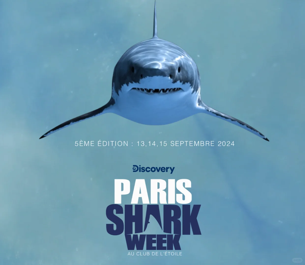 Paris Has It All! 🦈 Check Out the Shark-Themed Film Festival!