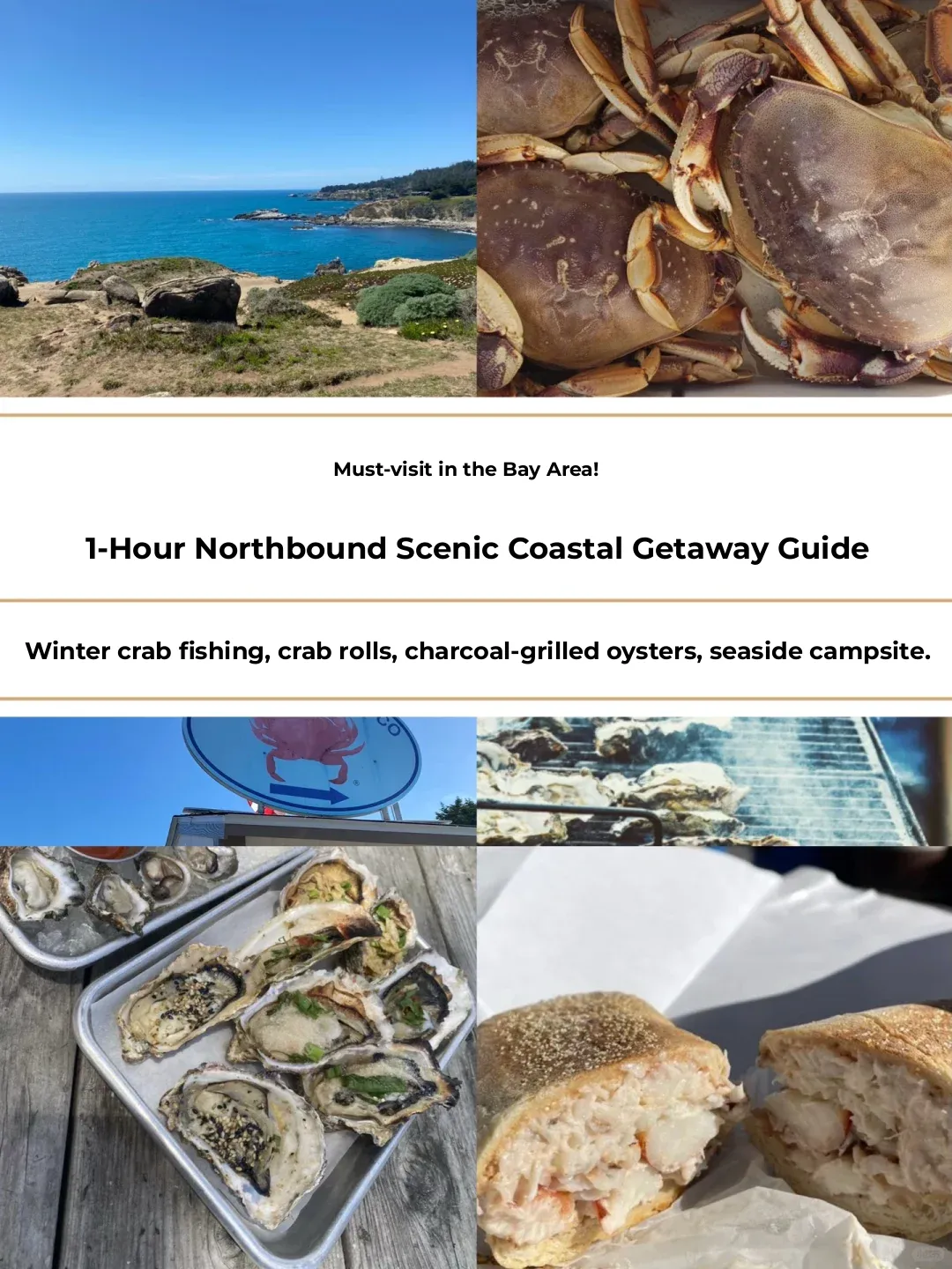 A Must-Visit❗️Northern Bay Area Coastal Gem: Crabbing & Oyster Roasting