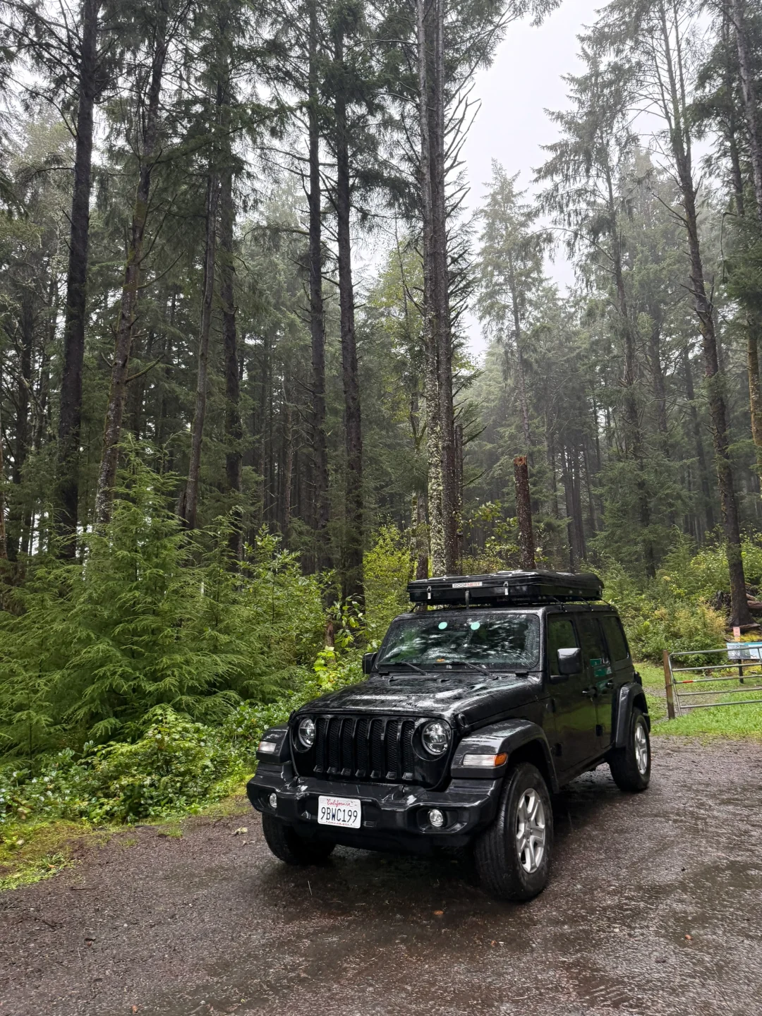 Budget Rooftop Tent Campervan Guide: Highway 1 Camping Adventure Part 1