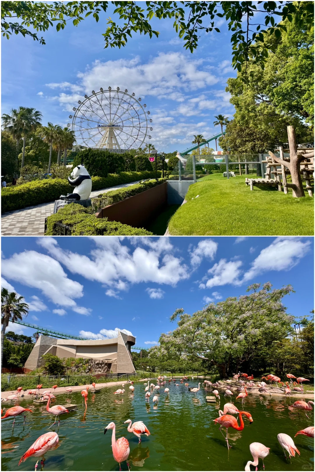 Osaka Vicinity - Wakayama's Adventure World