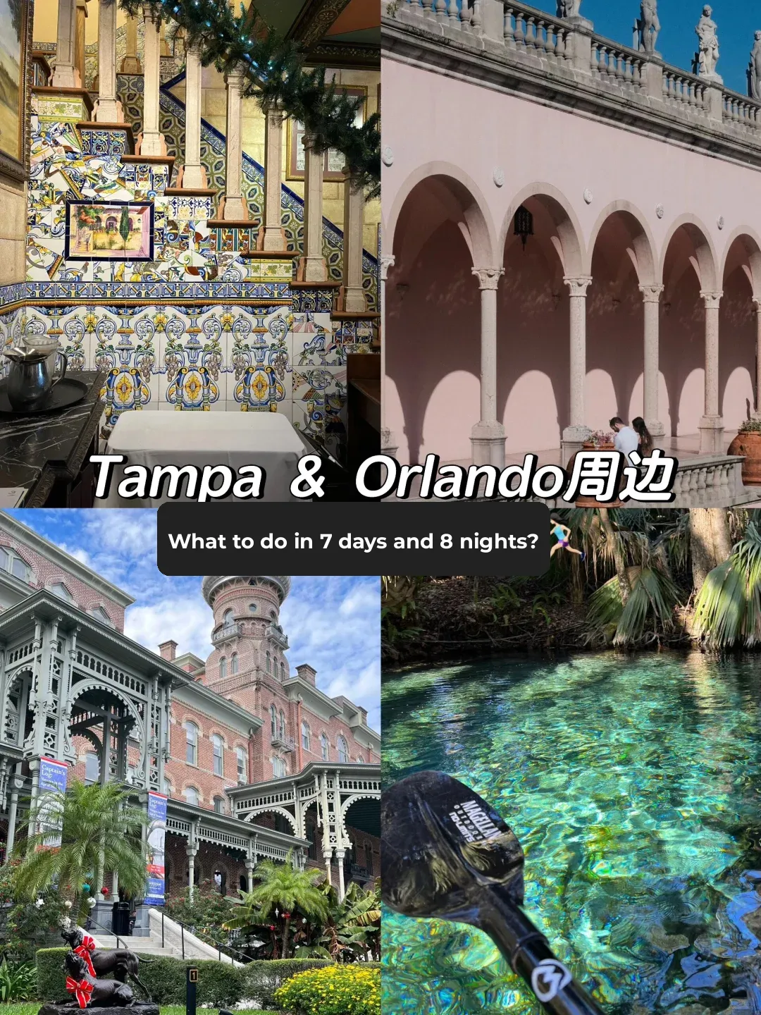 "Exploring Florida: Orlando and Tampa Are All You Need ✨"