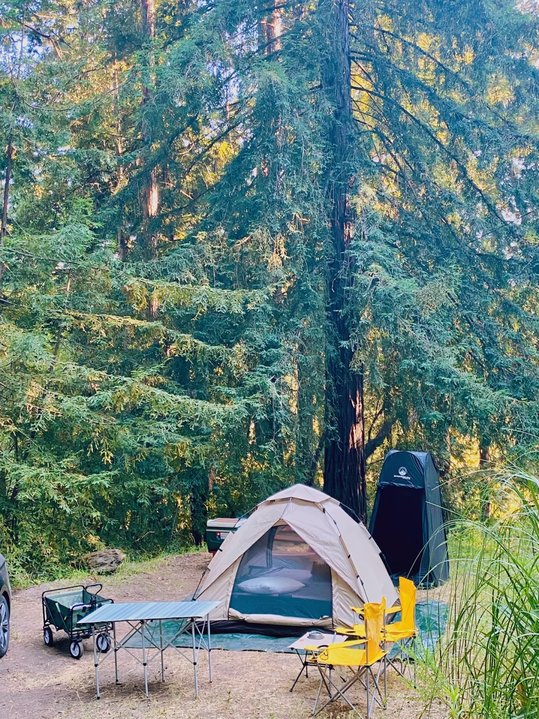 Bay Area | First Time Camping ⛺️ Los Gatos