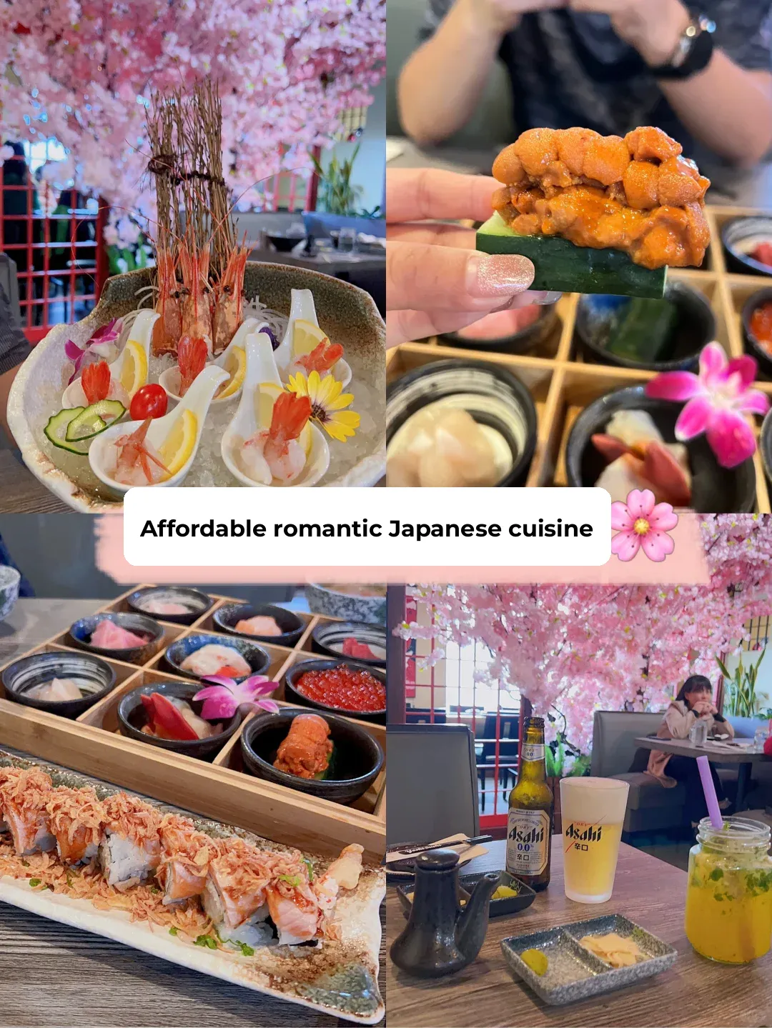 Bay Area | Enjoying Incredible Value Japanese Cuisine at a Cherry Blossom-Themed Romantic Restaurant 🌸🍣